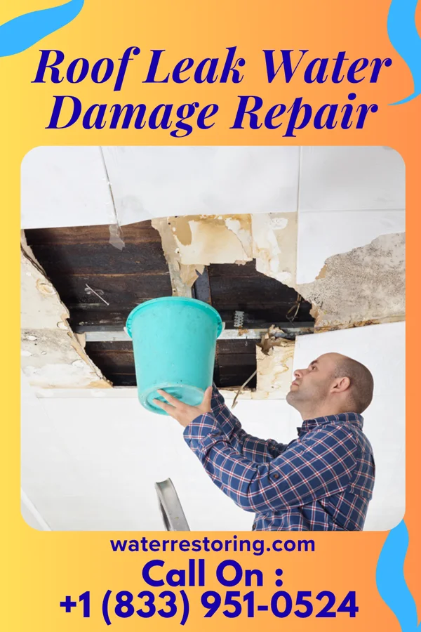 Roof Leak Water Damage Repair in Asheville, NC